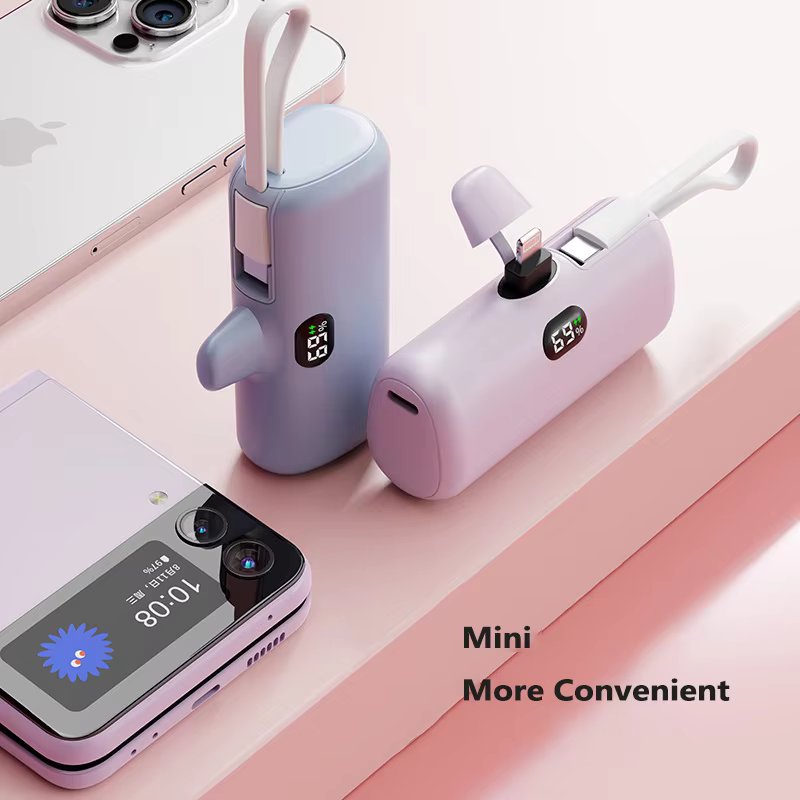 2 in 1 Powerful Mini Ever Ready Power Bank for iPhone and USB-C Port